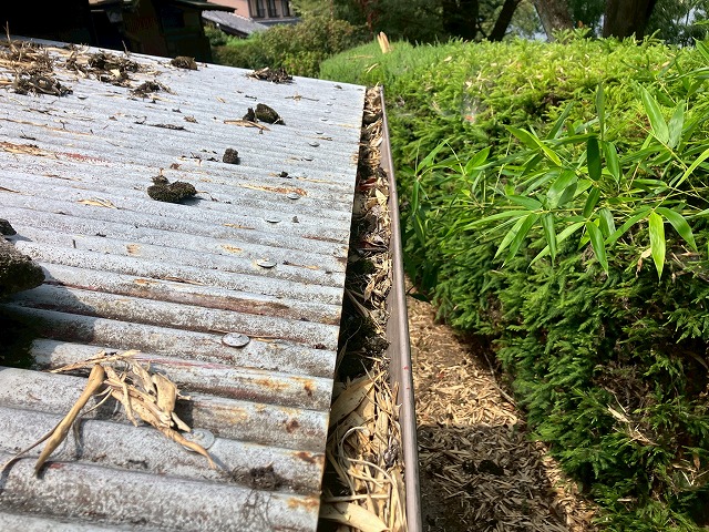 波板のトタン屋根